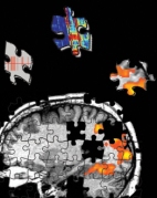 puzzle pieces neurological